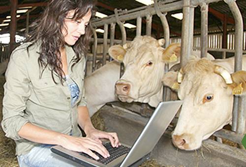 Zootecnista, una profesión clave para la seguridad alimentaria ...