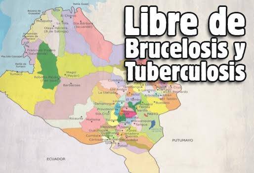 tuberculosis bovina, brucelosis bovina, predios libres de tuberculosis, predios libres de brucelosis, nariño, predios de nariño libres de tuberculosis y brucelosis, plan nariño, gobernación de nariño, fonade, ica, ica nariño, ganaderos de nariño, ganadería colombia, noticias ganaderas colombia, contexto ganadero