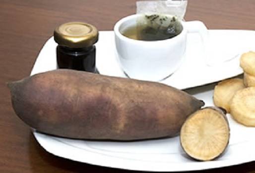 Yacòn, alimentos para ganado, Inulina, Ganadería colombiana, CONtexto ganadero