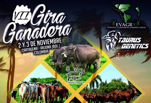 VII Gira Ganadera 2018 Evagro Taurus Genetics, Evagro Colombia, Taurus genetics, gira ganadera Evagro Taurus 2018, VII Gira Ganadera Bolívar Cartagena noviembre 2018, gira ganadera Evagro, gira ganadera Cartagena 2018, explotaciones ganaderas, gira Bolívar 2018, gira Cartagena 2018, Gira ganadera, CONtexto ganadero, ganaderos colombia, noticias ganaderas colombia