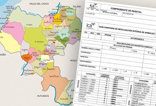 ica, ica colombia, guías de movilización, guías de movilización en cauca, cartel de guías de movilización, ganadería cauca, ganaderos cauca, popayán, contexto ganadero, ganadería colombia