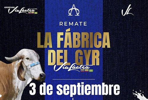 Remate comercializadora virtual, Fábrica del gyr, Agropecuaria Vía Láctea, remates virtuales, subastas colombia, venta de ganado Colombia, venta de ganado cebú en Colombia, remates de ganado cebú, Federación Colombiana de Ganaderos, fedegan, la Asociación Colombiana de Criadores de Ganado Cebú, Asocebú, el canal TV Agro, coronavirus, coronavirus Colombia, COVID-19, cuarentena, Ganadería, ganadería colombia, noticias ganaderas, noticias ganaderas colombia, CONtexto ganadero