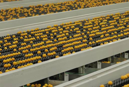 Compac Sorting Equipment, SIENZ, Agrosermaq, agrosermaq colombia, agrosermaq medellín, compac, compac nueva zelanda, clasificación de frutas, selección de frutas, tecnología agropecuaria, tecnología frutas, ganadería colombia, noticias ganaderas colombia