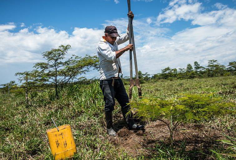 ganadería, ganadería colombia, noticias ganaderas, noticias ganaderas colombia, contexto ganadero, bosques, bosques colombia, familia ortiz, los ortiz meta, ganaderos del meta, gcs, ganadería colombiana sostenible, cuidado de los bosques, ganaderos cuidando bosques, protección bosques, 