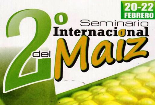 En el Piedemonte Llanero actualmente hay sembradas 20 mil hectáreas de maíz. Foto: Corpoica. Segundo Seminario Internacional del Maíz