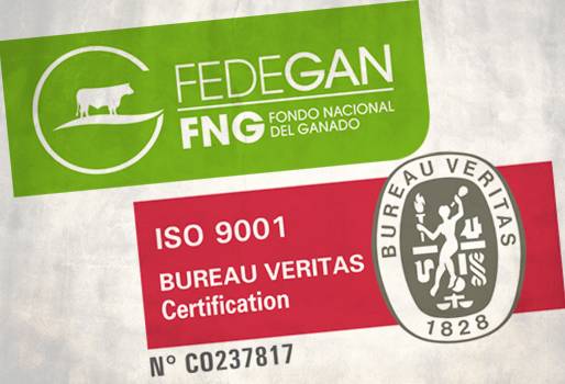 Certificación ISO 9001:2008 