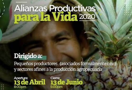 Alianzas Productivas, Minagricultura, Tolima, gobierno, productores, mercados, comercialización, Mujer Rural, Jóvenes Rurales, Inversión, aliados, agroindustria, Ganadería, ganadería colombia, noticias ganaderas colombia, CONtexto ganadero