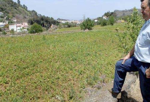 Ganadería, ganadería colombia, Ganadería colombiana, CONtexto ganadero, noticias ganaderas, noticias ganaderas colombia, noticias ganaderas colombianas, manuaels ganaderos, personal finca, trabajadores finca, ganaderos, ganaderos colombia