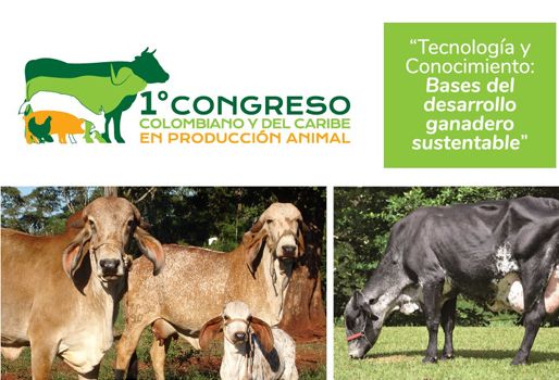 El primer Congreso Colombiano y del Caribe en Producción Animal contará con más de 15 expertos del sector pecuario. Foto: Cortesía Asoganorte 2018, Congreso Asoganorte 2018, Primer Congreso Colombiano y del Caribe en Producción Animal, producción animal, Producción Animal Caribe, Eventos Asoganorte 2018, ganaderos Caribe 2018, ganaderos Caribe Colombia, CONtexto ganadero, ganaderos colombia, noticias ganaderas de colombia