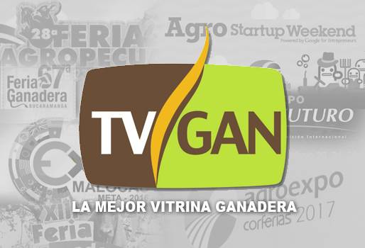 tvgan colombia, tvgan colombia horarios, tvgan colombia remates ganado, TVGán colombia fedegán, CONtexto ganadero