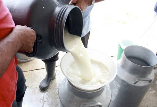 leche, clúster lácteo, clúster lácteo Bogotá, avances Clúster Lácteo Bogotá, Clúster Lácteo Bogotá 2019, Región de Bogotá, Sabana de Bogotá, producción leche Bogotá, producción leche Sabana de Bogotá, acopio leche, Cámara de Comercio Bogotá, fedegan, sector ganadero, ganadería colombia, leche Colombia, CONtexto ganadero, ganaderos colombia, noticias ganaderas colombia