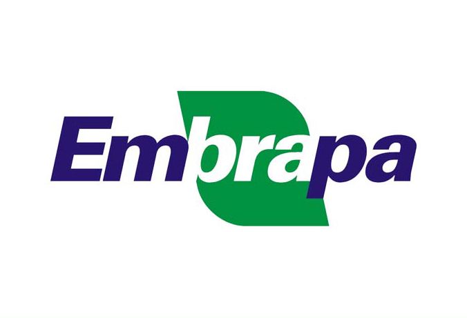 Embrapa lidera la producción científica en el ranking de las instituciones no académicas del país. Foto: maissoja.com.br. Ganadería, ganadería colombia, noticias ganaderas, noticias ganaderas colombia, CONtexto ganadero, Embrapa, embrapa brasil, 46 años embrapa, investigación embrapa, agro de brasil, producción agropecuaria brasil,