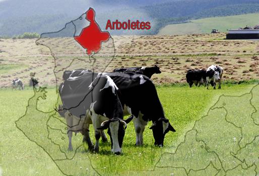 Municipio de Arboletes Antioquia. 