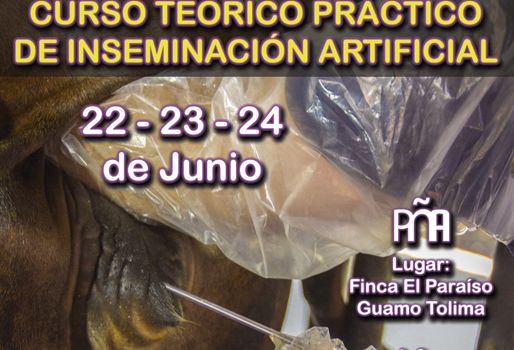 Gyr Colombia organiza un curso acerca de la Inseminación Artificial durante los días 22, 23 y 24 de junio. Foto: cortesia Ganadería, ganadería colombia, Ganadería colombiana, CONtexto ganadero, noticias ganaderas, inseminación artificial, curso inseminación artificial, Gyr, gyr Colombia, Gyrolando, curso mejoramiento genético, mejoramiento genético, aparato reproductivo vaca, Tolima, Guamo, ganaderos colombia, ganaderos