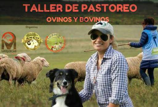 Majada, Majada Colombia, María José Scabino, curso de pastoreo para perros, curso de pastoreo con perros, perros pastores, pastoreo de ovejas, pastoreo de vacas, universidad la gran colombia, contexto ganadero, ganadería colombia