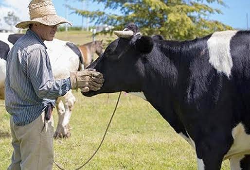Ganadería, Ganadería colombiana, ganadería colombia, Ganadería Sostenible, CONtexto ganadero, noticias ganaderas, ganadería colombiana sostenible, gases efecto invernadero, contaminación ambiental, Bienestar Animal, Buenas Prácticas Ganaderas, sostenibilidad ambiental, bienestar animal en ganadería sostenible, ganadería no causante de contaminación ambiental, ganaderos, ganaderos colombia