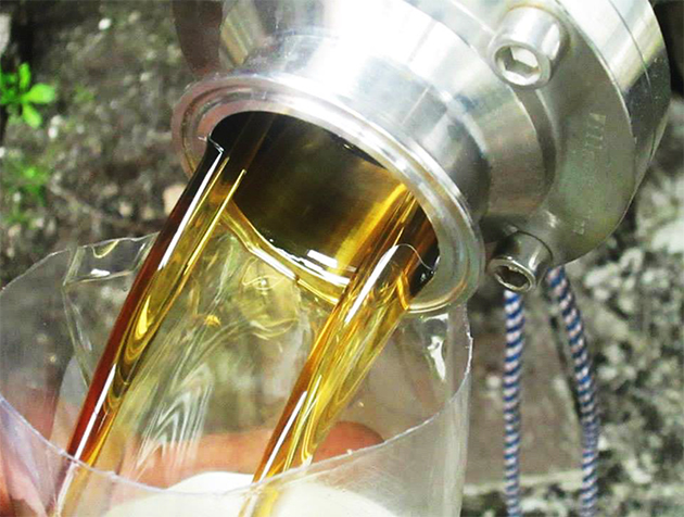 Glicerol: alternativa energética y de bajo costo para su ganado | CONtexto  Ganadero