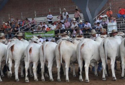 certificaciones sanitarias Colombia