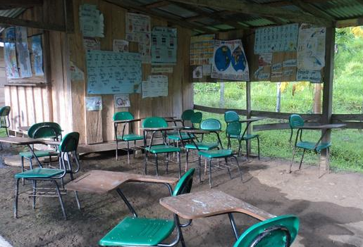Decreto Ley 882 de 26 de mayo de 2017, Bachilleres podrán ser maestros en las zonas de conflicto, Colombia  Bachilleres podrán ser maestros en las zonas de conflicto, Colombia educación rural, Colombia Decretos expedidos para dar cumplimiento a lo ordenado por las Farc, Decretos expedidos para dar cumplimiento a lo ordenado por las Farc, CONtexto ganadero, ganadería Colombia