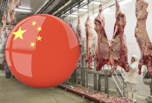 Colombia, China, exportaciones a China, diplomacia sanitaria, autoridades sanitarias china, ganadería, ganadería colombiana, noticias ganaderas de Colombia, Wilson Salazar, CONtexto ganadero