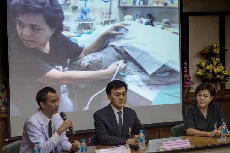 Nantrika Chansue, la veterinaria responsable del centro de investigación acuática del hospital de Chulalongkorn, escucha a otros veterinarios hablar sobre las causas de la muerte de la tortuga marina 'Hucha', en Bangkok, el 21 de marzo de 2017. Foto: AFP. tortuga monedas tailandia