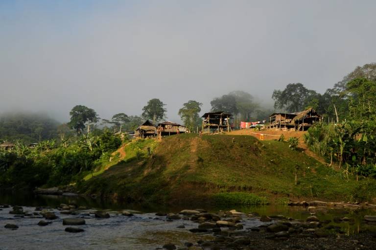eln desplazados colombia