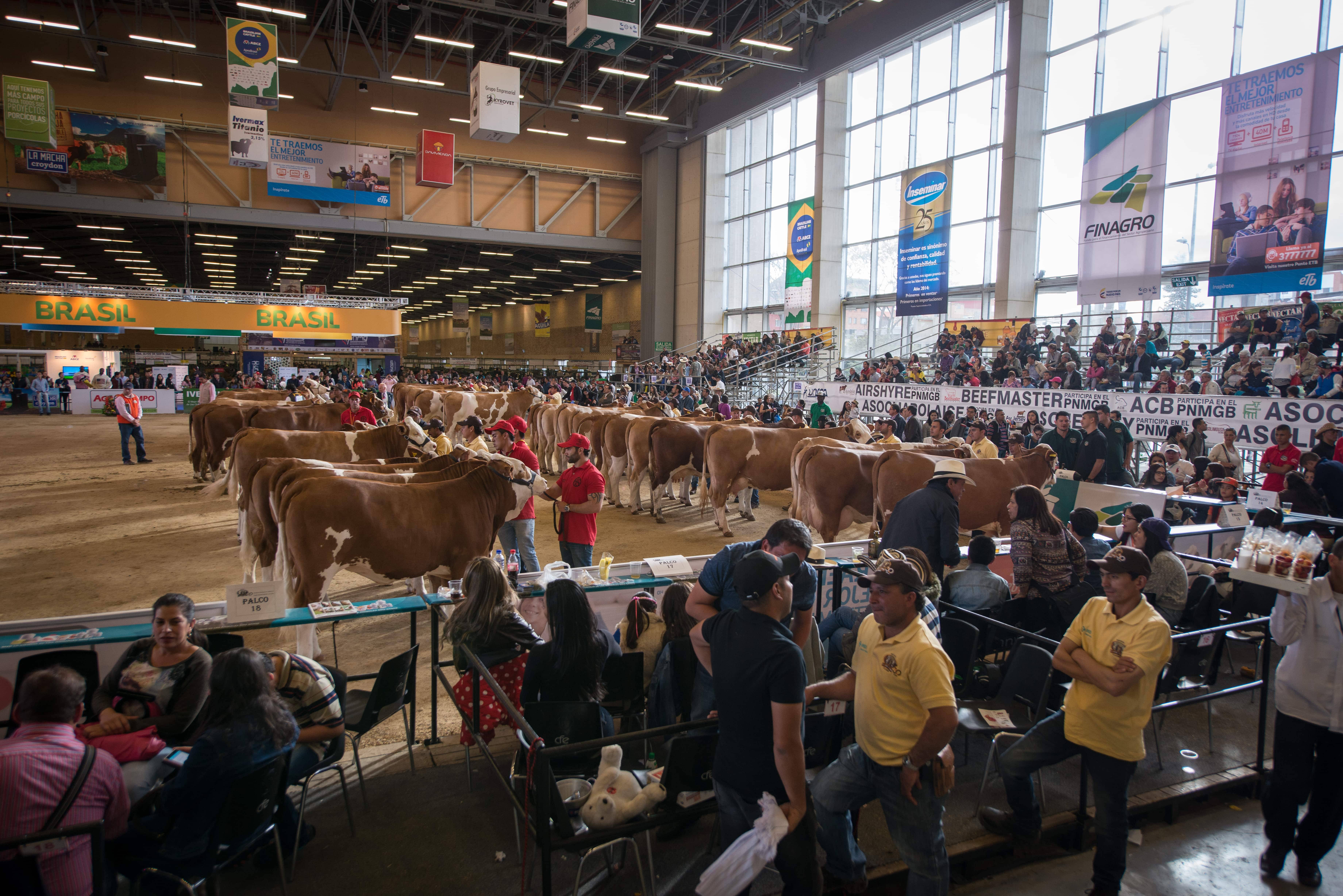 Ganadería, ganadería colombia, noticias ganaderas, noticias ganaderas colombia, CONtexto ganadero, agroexpo, agroexpo 2019, agroexpo bogotá, ferias, ferias ganaderas, feria agroexpo, corferias, eventos ganaderos,