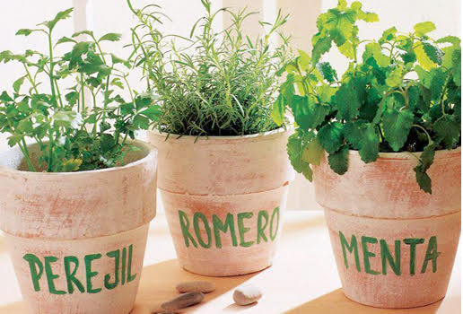 Más de 28.000 plantas tienen propiedades medicinales, plantas medicinales, segundo informe anual de Kew Gardens de Londres, Mucuna, artemisinina y la quinina, CONtexto ganadero, ganadería Colombia