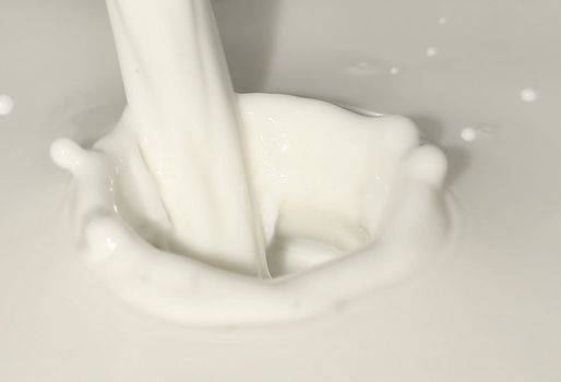 Proyecto de ley de Fedegán 