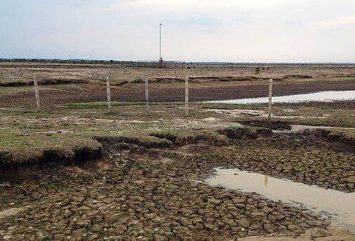 Fenómeno, El Niño, cambios climáticos, afectaciones, ganaderos, ganadería, Casanare