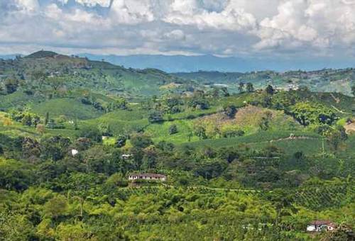 boletín semana sector agrícola, IDEAM, Ganadería, ganadería colombia, noticias ganaderas, noticias ganaderas colombia, CONtexto ganadero, pronósticos Ideam, clima, clima colombia, clima colombia 2021, pronósticos ideam 2021, clima enero 2021