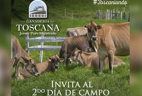 segundo dia de campo de ganaderia toscana