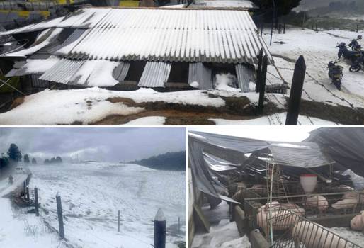 granizo, granizo antioquia, granizo santa rosa, santa rosa de osos, invierno, invierno antioquia, ganaderos Antioquia, ganadería antioquia, asoganorte yarumal, ganaderos de santa rosa de osos, CONtexto ganadero, ganadería colombia, noticias ganaderas colombia