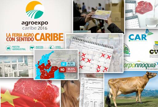 noticias ganadería, noticias ganadería colombia, noticias ganadería fedegán, noticias ganadería lafaurie, noticias ganadería fedegán carne, leche y carne noticias colombia, CONtexto ganadero