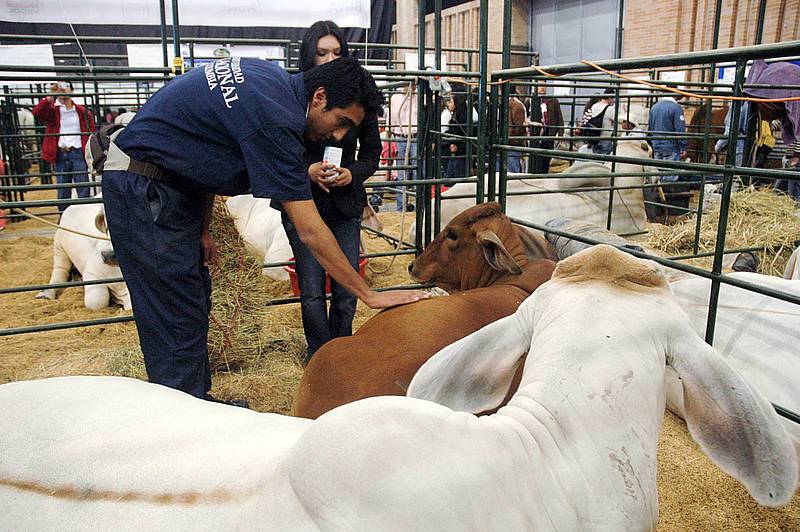 Agroexpo Colombia