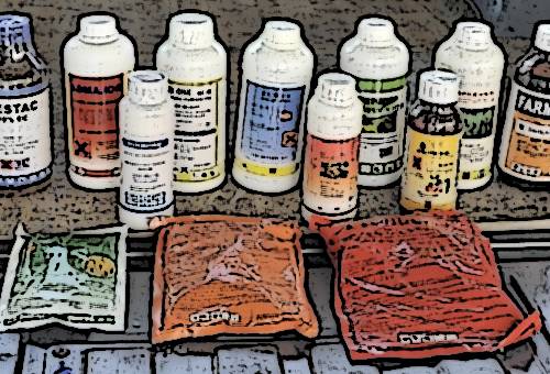 plaguicidas ilegales, falsificación, Comercio ilegal, técnicas de producción, agricultura, suelos, semillas, Alimentos, Medio Ambiente, agroquímicos, vocación agrícola, Ganadería, ganadería colombia, noticias ganaderas colombia, CONtexto ganadero