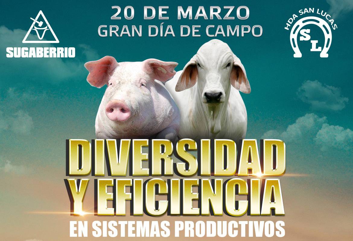 Ganadería, ganadería colombia, noticias ganaderas, noticias ganaderas colombia, CONtexto ganadero, sugaberrío, subasta sugaberrío, sugaberrío puerto berrío, dia de campo sugaberrío, coregan, comité de ganaderos de puerto berrío, omaira guisao benítez, agropecuaria san lucas, 