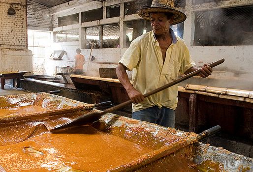 Producción de panela Colombia