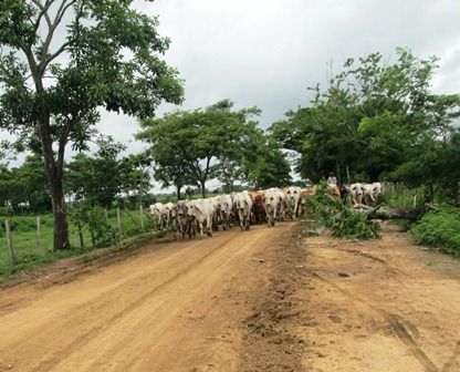 Vía terciaria en Sucre