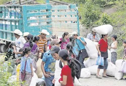 Ganadería, ganadería colombia, Ganadería colombiana, CONtexto ganadero, noticias ganaderas, noticias ganaderas colombia, Caldas, ganaderos Caldas, inseguridad caldas, trashumancia caldas, costo de insumos caldas, rentabilidad ganaderos caldas, ganaderos, ganaderos colombia