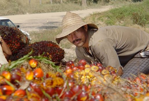 primera conferencia internacional biocombustibles