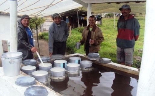 La cadena láctea recibirá dinero para mejorar la producción en la zona. Foto: Sena Putumayo. Lecheros en Putumayo