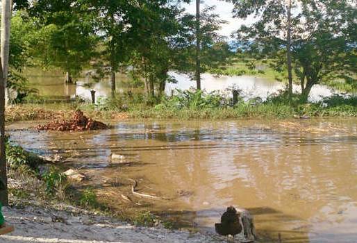 inundaciones en santander, época invernal en Santander, predios ganaderos inundados, sector ganadero afectado por invierno, medidas para afrontar el invierno