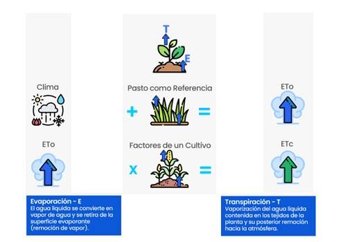 Esquema del modelo de evapotranspiración de referencia (ETo) 