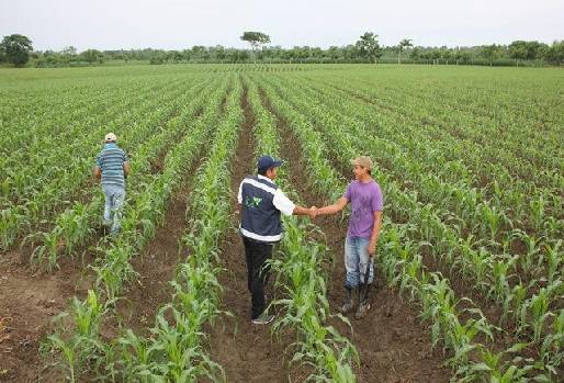 prevenga los cambios bruscos de temperatura, fenómeno de El Niño, afectaciones en la producción agropecuaria nacional, Ministerio de Agricultura, ICA, acciones preventivas, heladas, intenso verano, producción ganadera Ganadería, ganadería colombiana, noticias ganaderas, noticias ganaderas Colombia, CONtexto ganadero