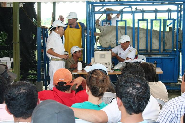 Curso de inseminación artificial en bovinos 