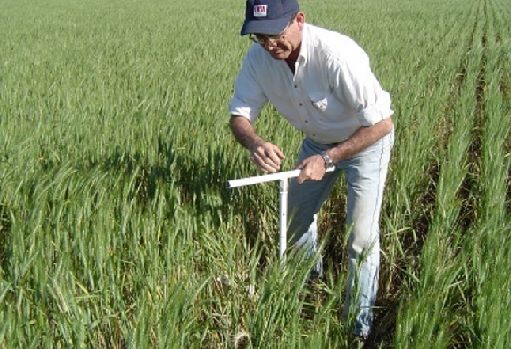 INTA, Argentina, Agua, Aquiles Salinas, Córdoba, Manfredi, riego, Semana del Riego, suelo