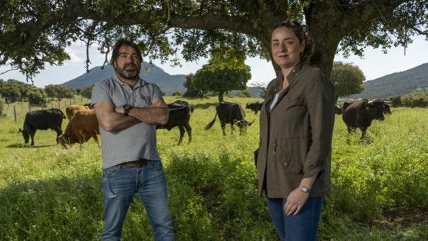"Nuestro producto ecológico es de los mejores, pero no se comercializa igual de bien que en otros países. Sigue siendo un mercado minoritario", dice Redondo. Foto: ABC. Ganadería, ganadería colombia, noticias ganaderas, noticias ganaderas colombia, CONtexto ganadero, ganaderia ecologica, ganaderia ecologica en españa, que es ganaderia ecologica, como implementar ganaderia ecologica, ventajas de la ganaderia ecologica, ganaderia ecologica en europa,