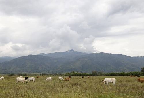 tierras ganaderas