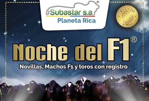 subastas de ganado, remate de ganado, Venta de ganado, evento especial, noche del F1 2019, noche del f1 subastar, subasta de ganado, Ganado cebuino, comercio ganado Costa Caribe, evento Subastar 2019, Planeta Rica, córdoba, Noche del F1, Subastar, brahman, animales F1, Cruce F1, F1, CONtexto ganadero, ganaderos colombia, noticias ganaderas colombia